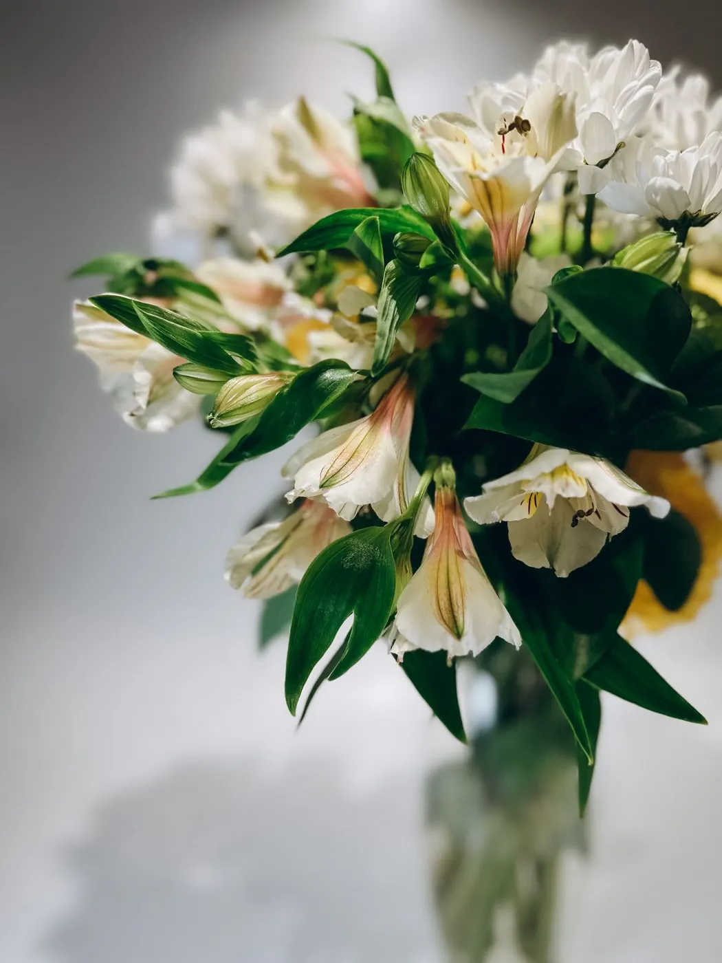 Flores delicadas para mamá