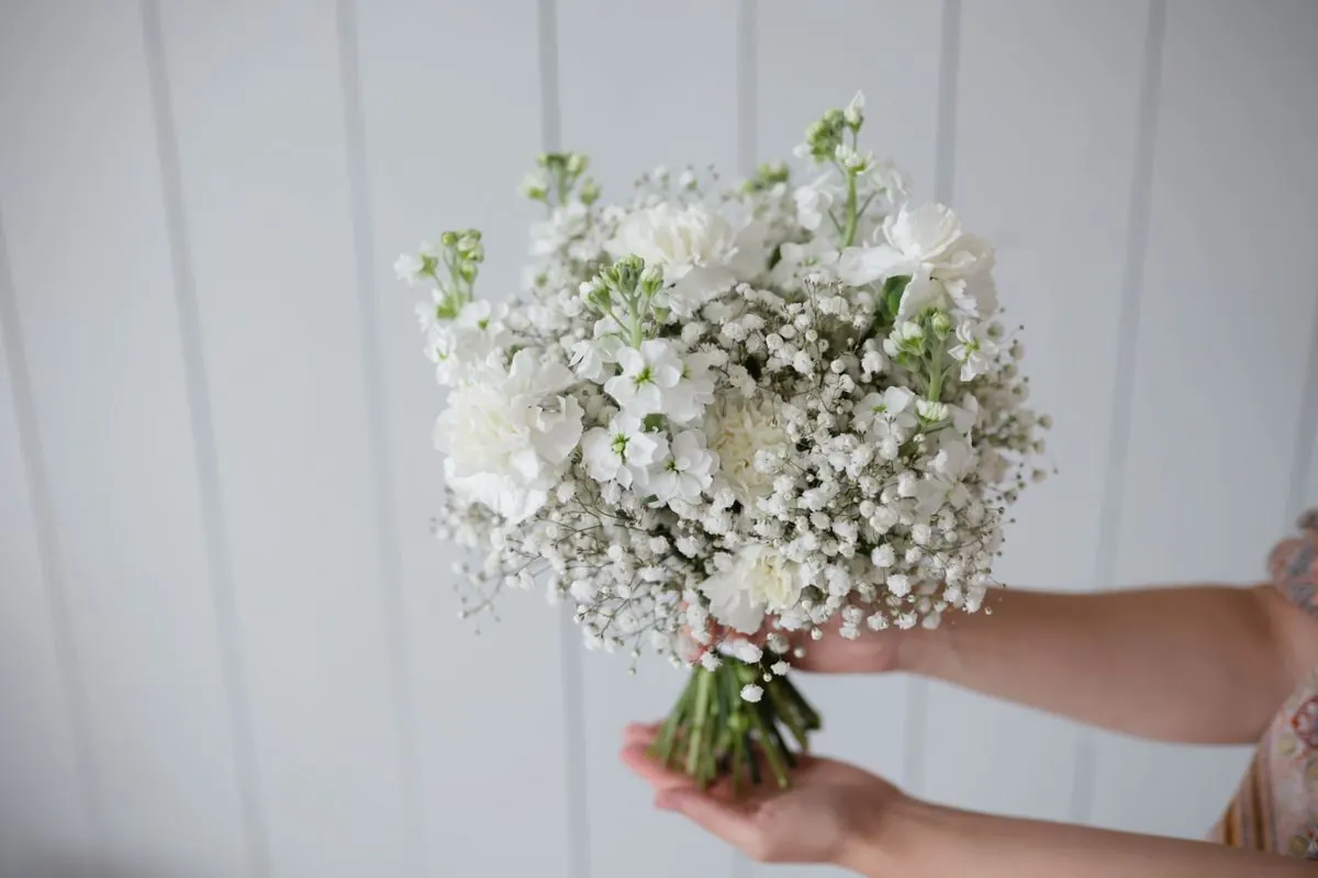 Flores blancas utilizadas como imagen ilustrativa